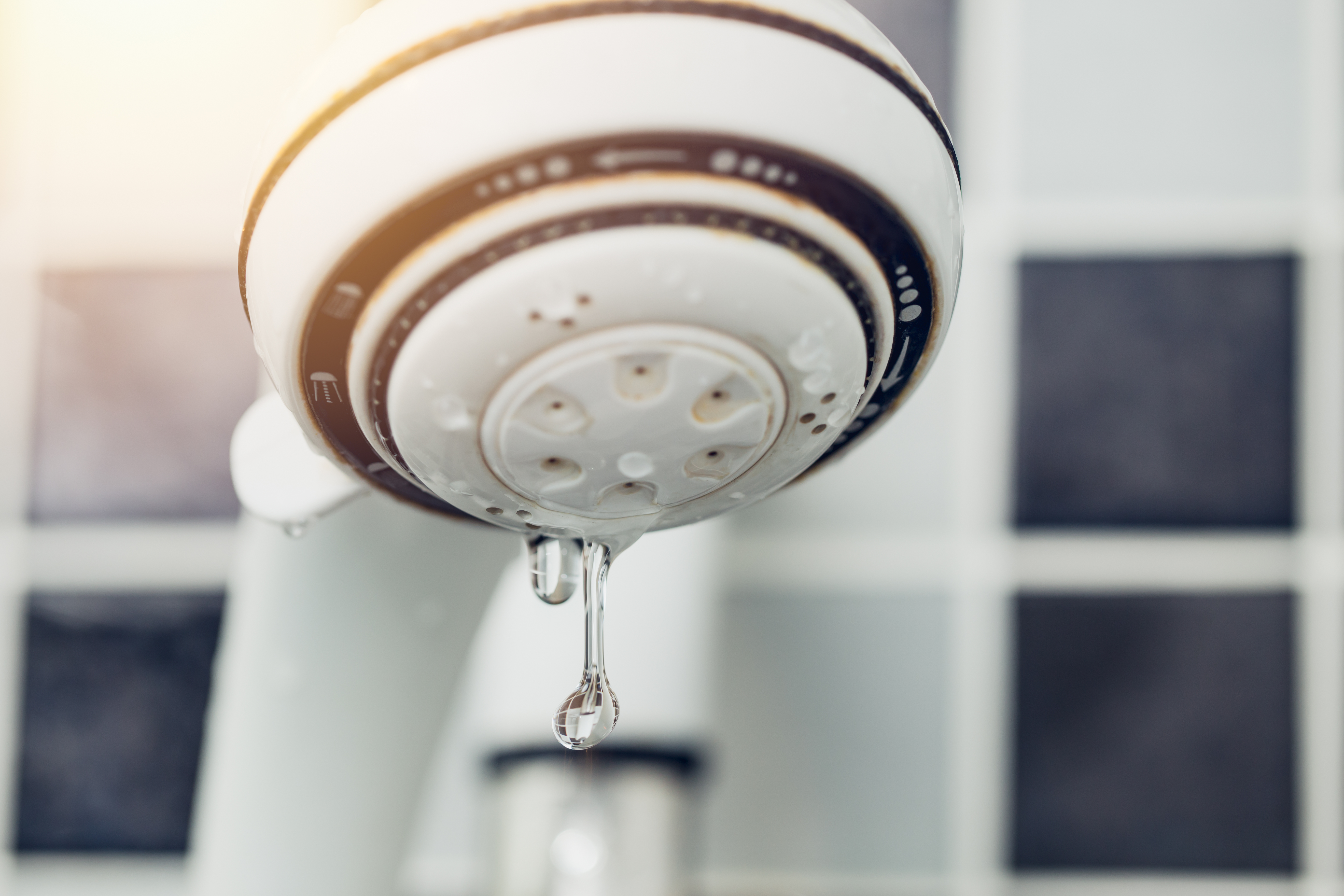 Are You Losing Water Pressure in Your Westgreen Park Shower? - Acosta Plumbing Solutions is your trusted plumber in Katy, TX!